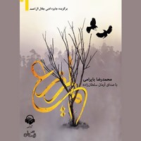 کتاب صوتی لم یزرع اثر محمدرضا بایرامی