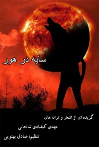 کتاب سایه در هور اثر مهدی کیقبادی شانجانی