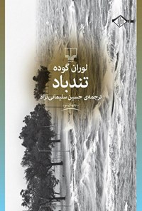 کتاب تندباد اثر حسین سلیمانی‌نژاد