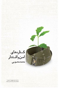 کتاب کناره‌های امن و اقتدار اثر محمد محبوبی