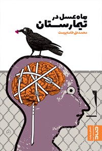 کتاب ماه عسل در تیمارستان اثر محمدعلی خامه‌پرست